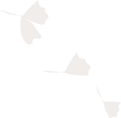 Three simple, stylized brown ginkgo leaves are scattered diagonally across a white background.