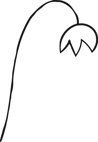 A simple black outline drawing of a long, curved stem with a drooping flower at the end.